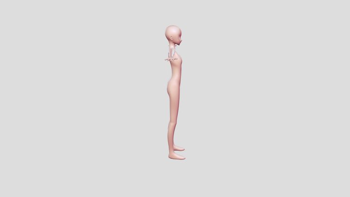 Anime female character blank (IK rig+shapekeys) 3D Model