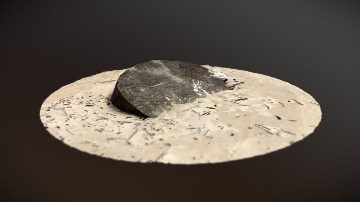 Stump In Sand 3D Model