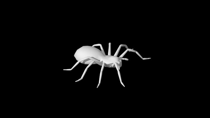 spider 3D Model