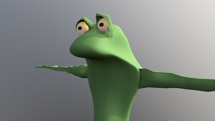 Frog Test 3D Model