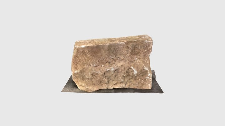 A3 Frag 1 3D Model