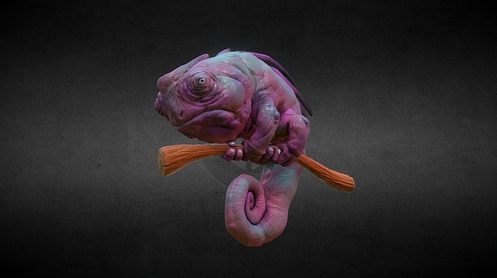 Chameleon