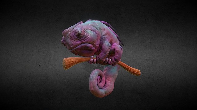 Chameleon