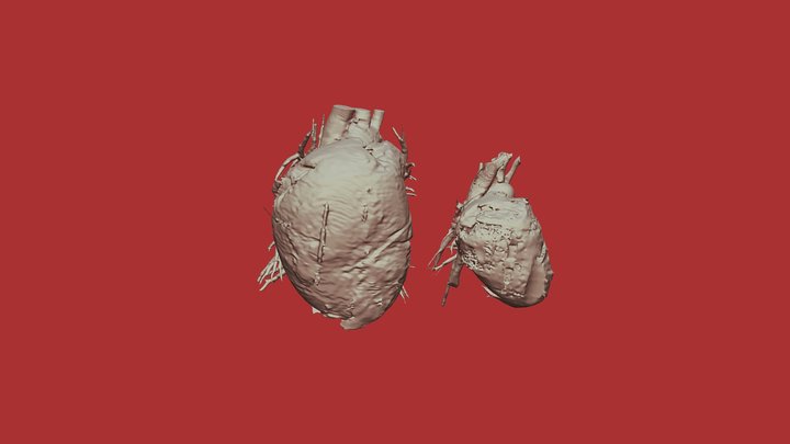 combined 3D Model