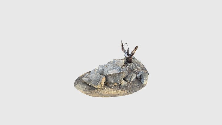 Knoplofty stones 5 3D Model