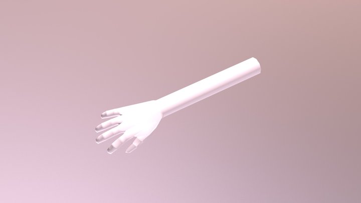 Mano de cinco dedos. 3D Model