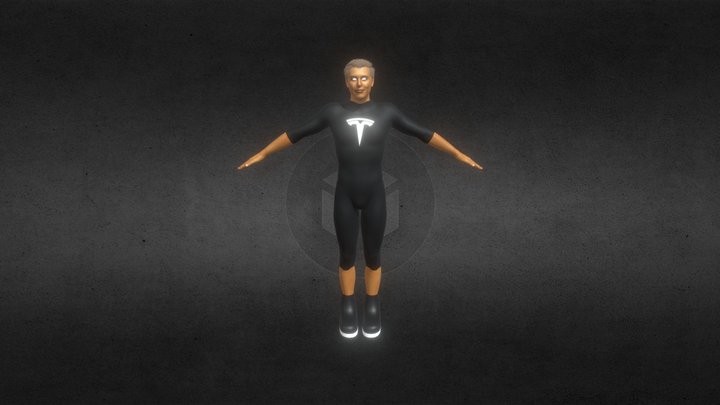 Elon Musk NFTs 3D Model
