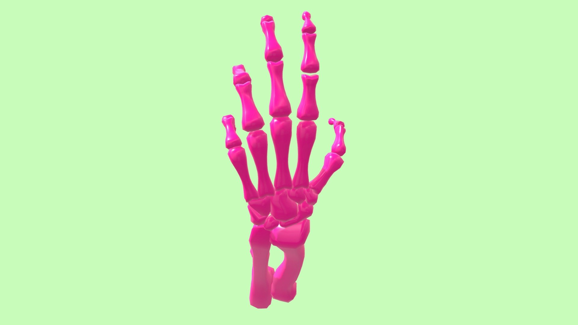 arm bones 3D model by sashonni [c922ba7] Sketchfab
