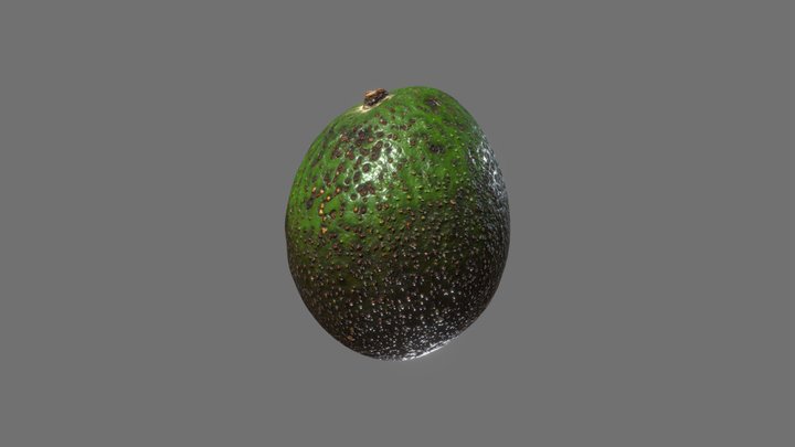 di_baizhen 3D Model