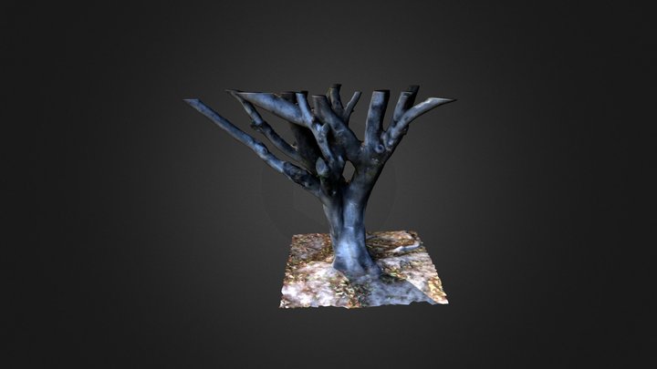 Tree Ficus 3D Model