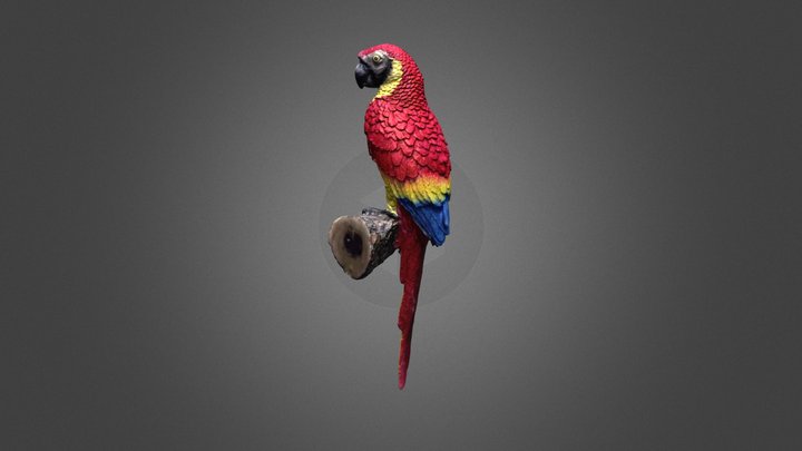 Parrot Scanned by Revopoint MetroY Pro – Free 3D Model STL