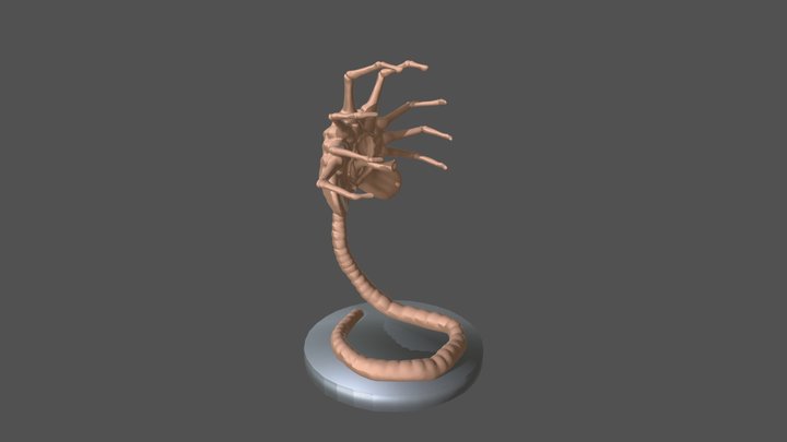 Facehugger 3D Model