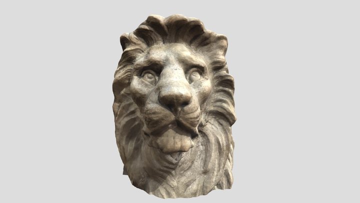 Lion Head 3D Model