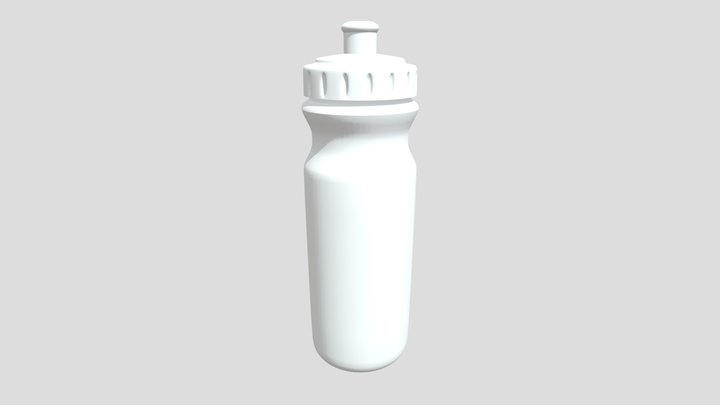 Bottle 3D Model