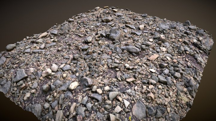 Photoscanned Patch of Ground – Modello 3D gratuito STL