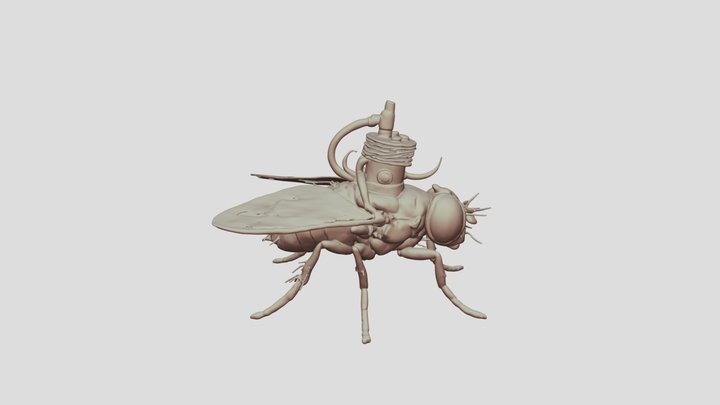 Mouche A Moteur 3D Model