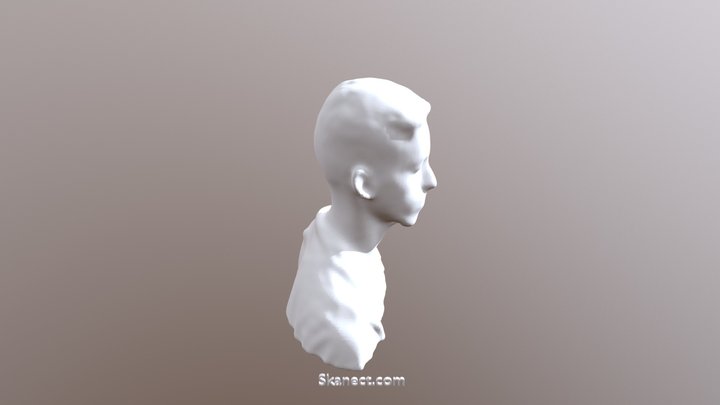 my head 3D Model