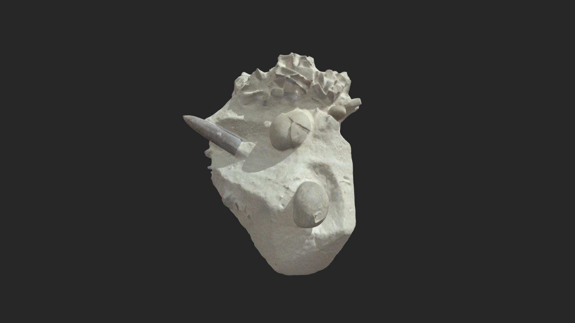 Cretaceous limestone with sea urchin & belemnite - Download Free 3D ...