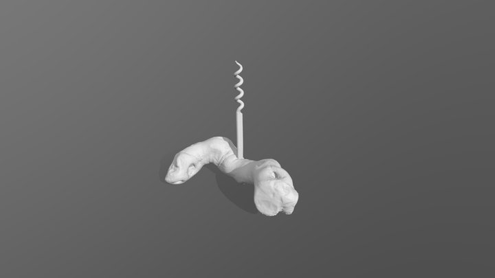 High Gloss Wooden Corkskrew - Einstar Rockit – Kostenloses 3D-Modell STL