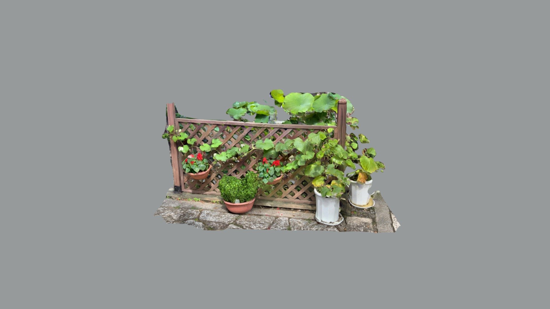 Plants on a fence.