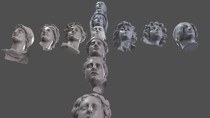 Head Study 3D Model