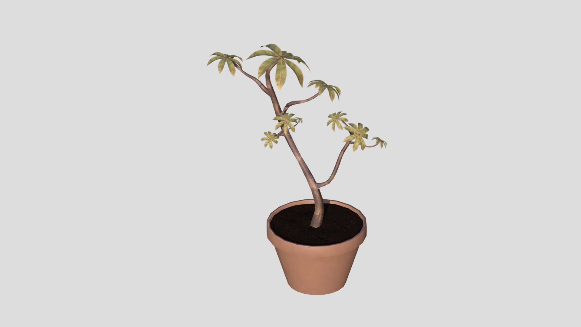 Plant Model