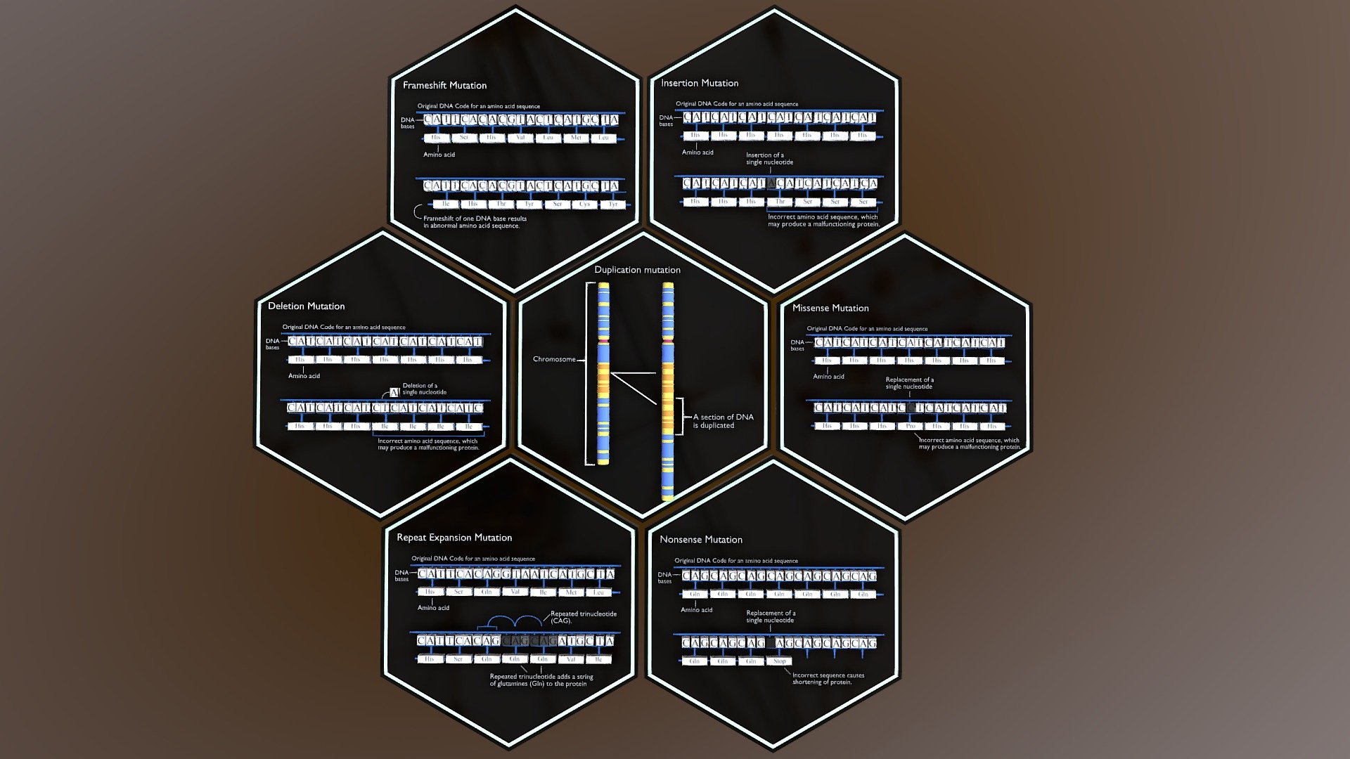 Types of gene mutation