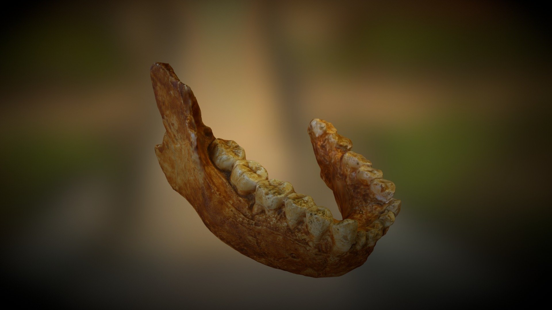 Mandíbula Neandertal