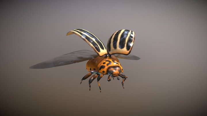 Potato Beetle - game model 3D Model