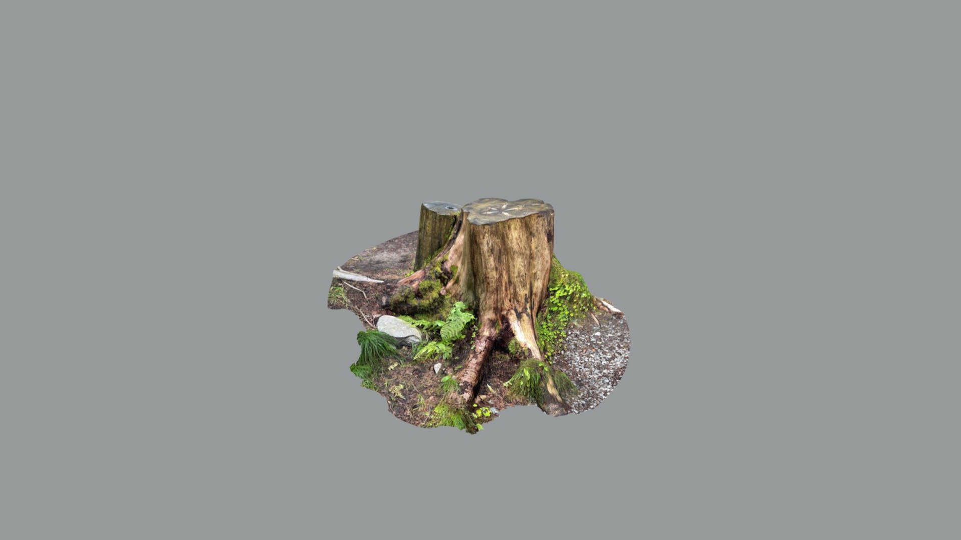 Norwegian wood-root In Bergen — Sketchfab embed 3D viewer