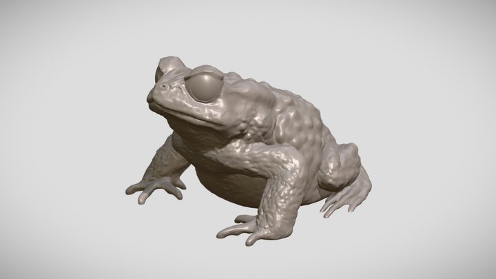 Frog-plushie 3D models - Sketchfab