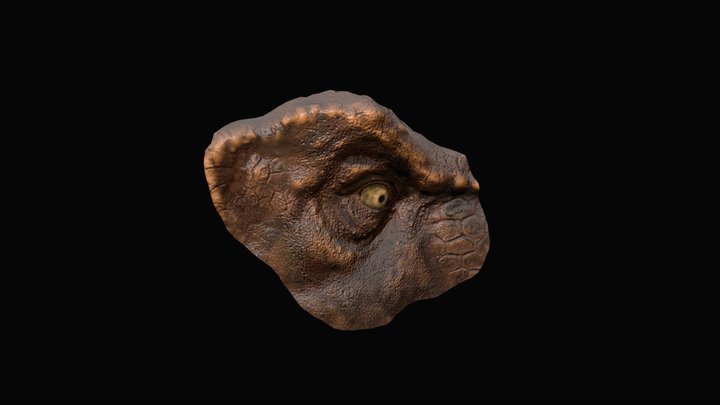 T-Rex eye 3D Model