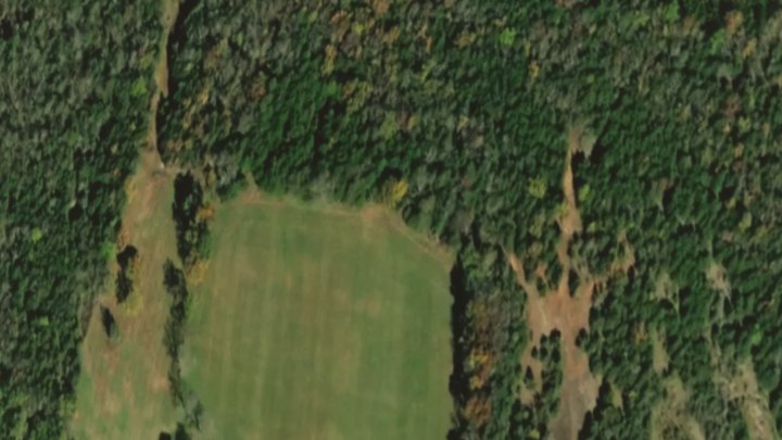 Flat Plain Landscape Mesh 3D Model