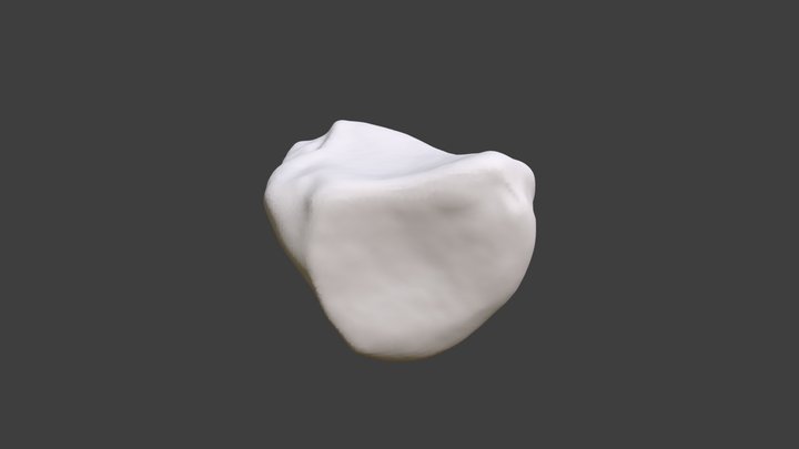 Right Triquetral 3D Model