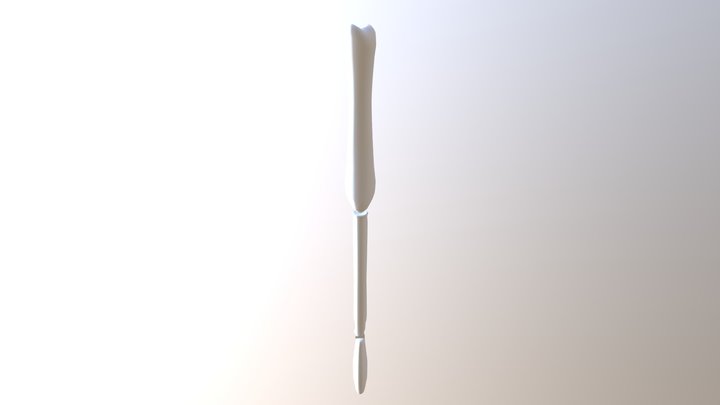 Arm Bones 3D Model