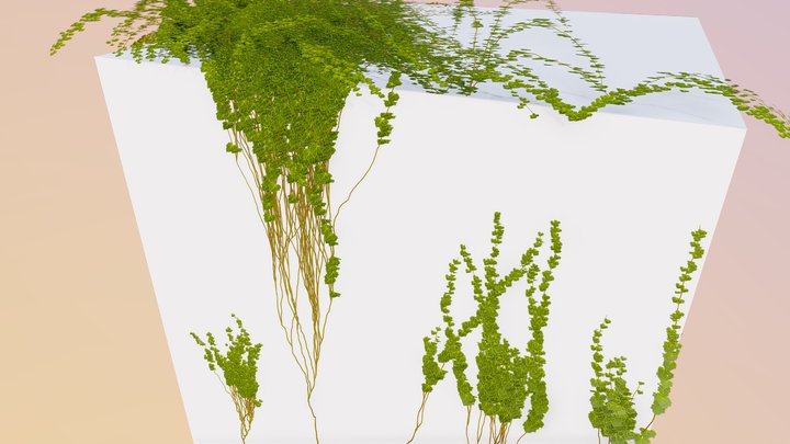 gameready ivy – Modèle 3D gratuit STL
