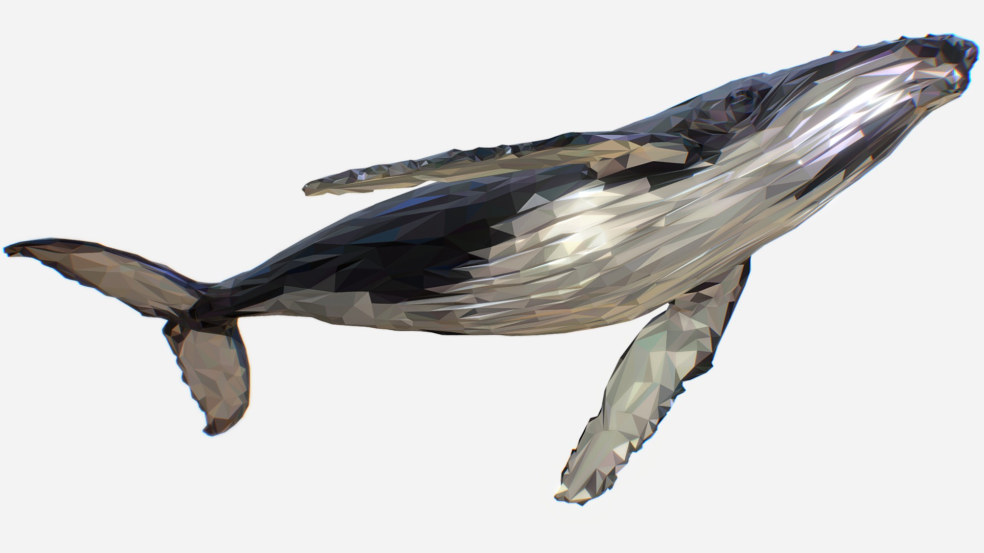 3D model Whale Low Polygon Art Animal - This is a 3D model of the Whale Low Polygon Art Animal. The 3D model is about a fish in the air.