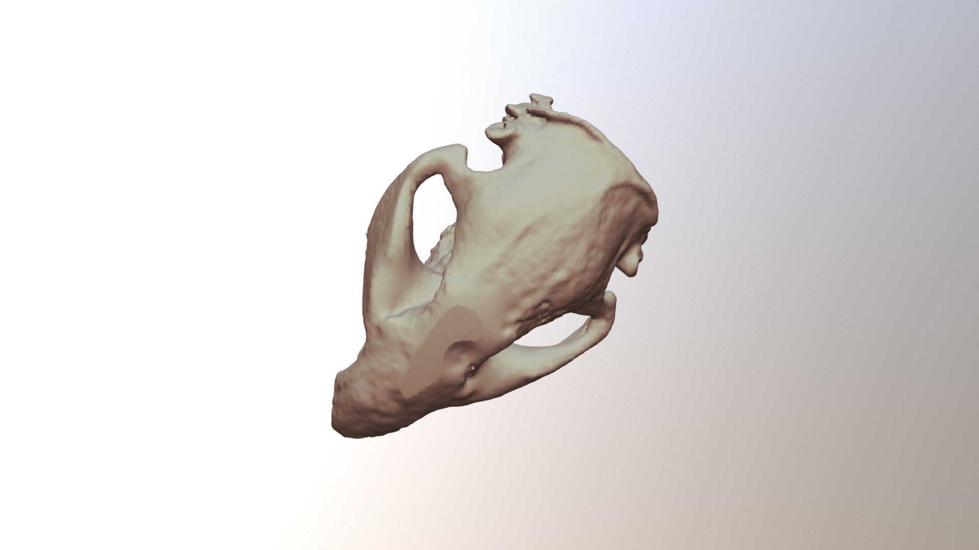 4A-Beaver-BC1830