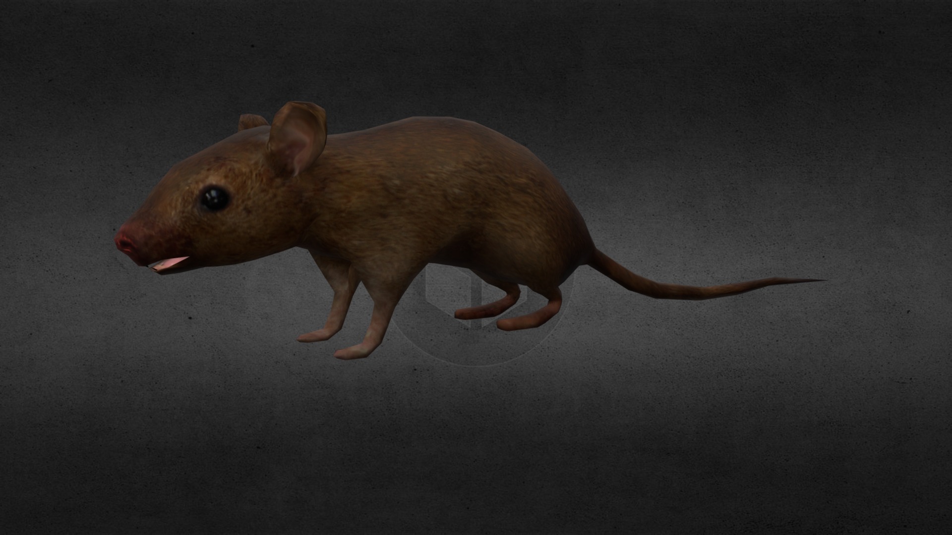 3D model Mouse (old) - This is a 3D model of the Mouse (old). The 3D model is about a small brown animal.