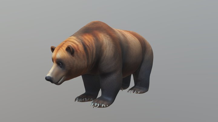 Bear Realistic