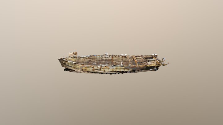 Interior of Daring Shipwreck, New Zealand 3D Model