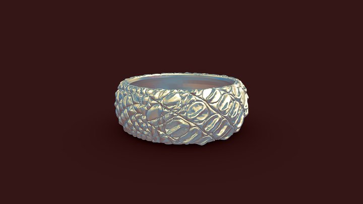 Jewelry - Croc 3D Model