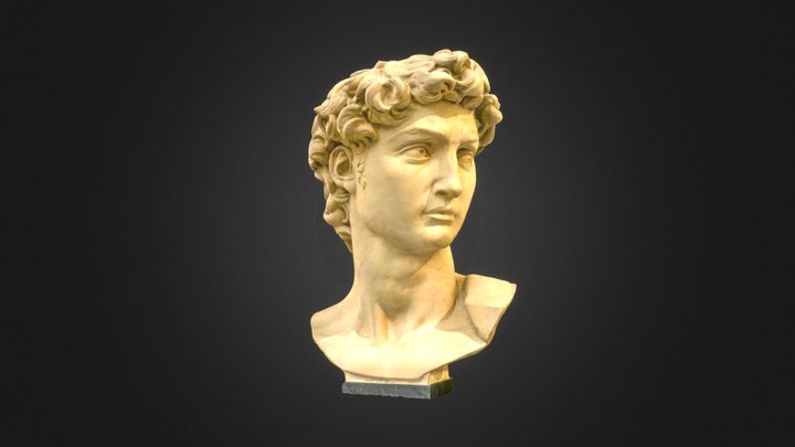 David's Head 3D Model