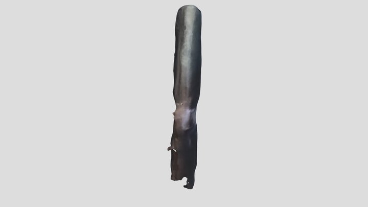 eyeliner 3D Model