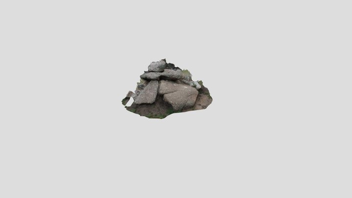 not quite good 3dscan of rock 3D Model