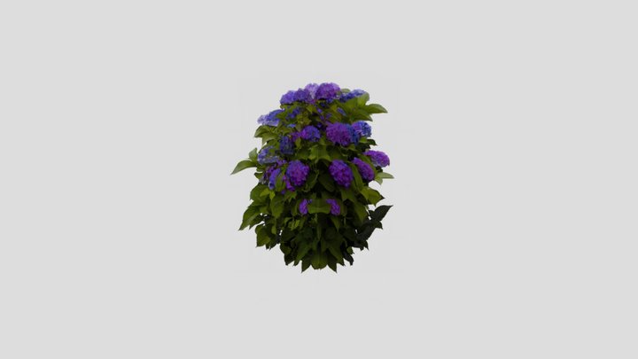 foliage08 3D Model