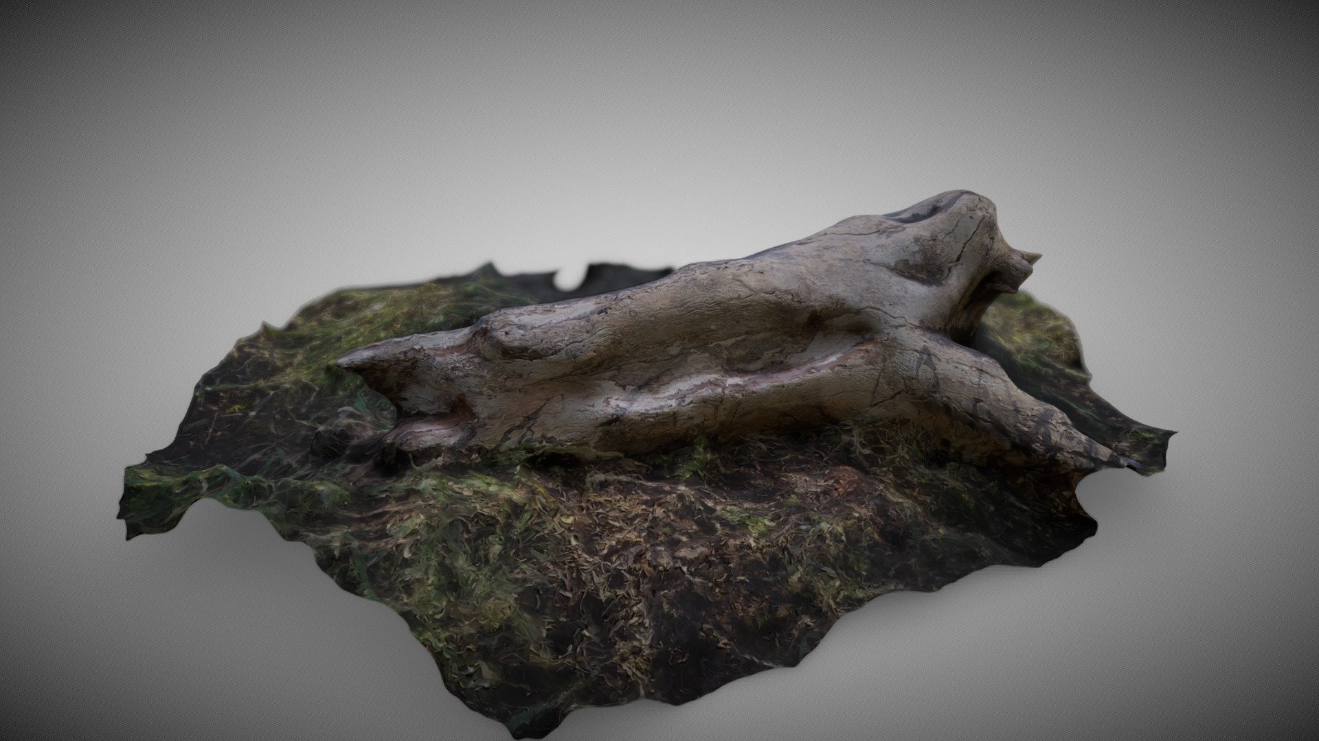 Log with Grass