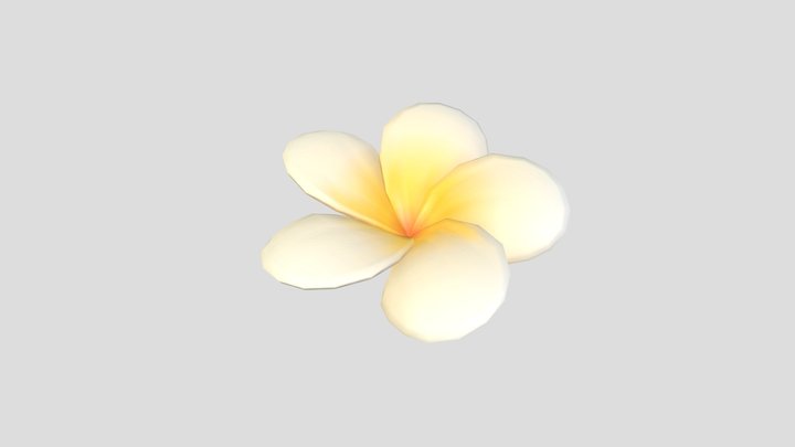 Plumeria Flower 3D Model