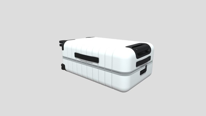 Hand Luggage 3D Model
