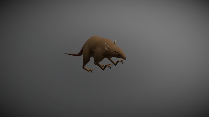 Giant Rat 3D Model